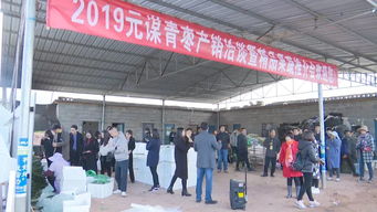 元謀蔬菜種業博覽會 拓展交流打造綠色食品牌，文化藝術交流活動增添新活力